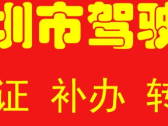 深圳汽車一站式服務指南 代辦過戶、年檢、綠標、違章咨詢與車險辦理